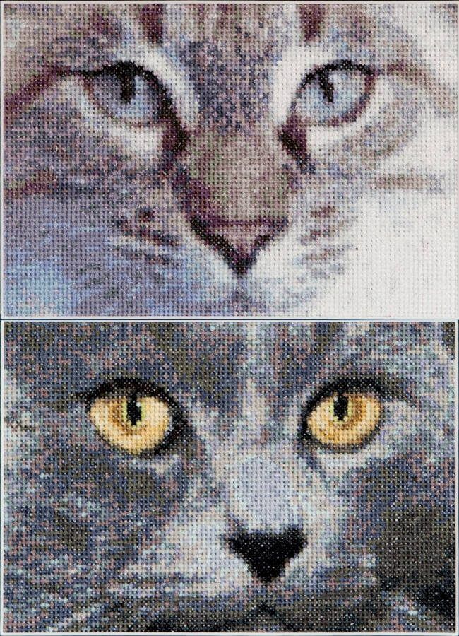 Thea Gouverneur Borduurpakket met telpatroon 541A Voorgesorteerde DMC Garens Katten Jack + Luna Aida 17 cm x 12 cm DIY Kit
