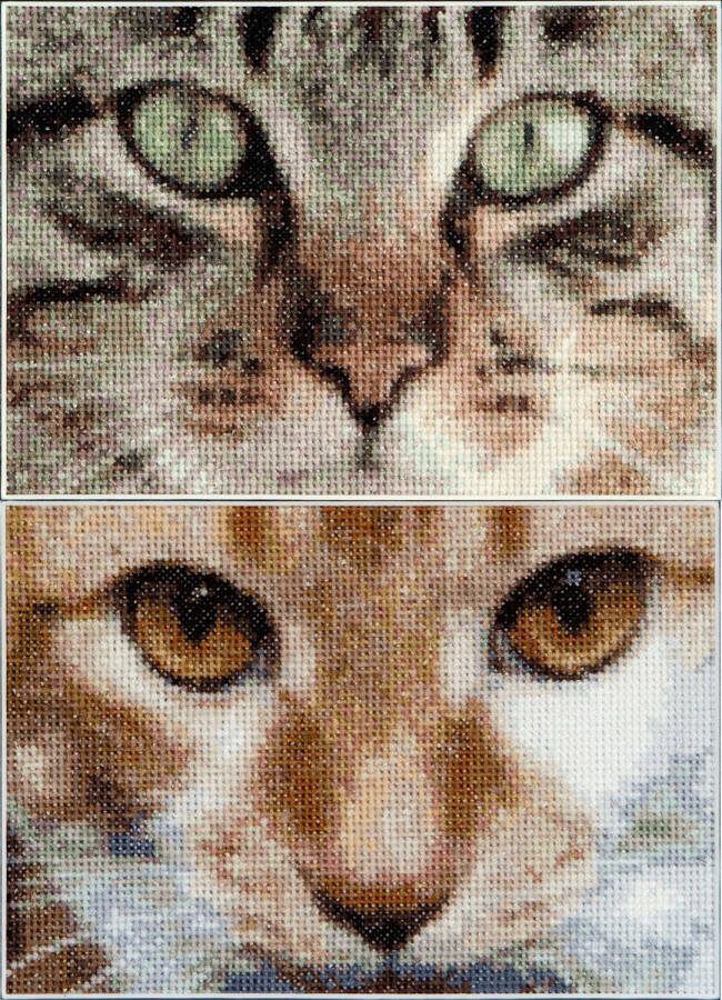 Thea Gouverneur Borduurpakket met telpatroon 543A Voorgesorteerde DMC Garens Katten Tess + Simba Aida 17 cm x 12 cm DIY Kit