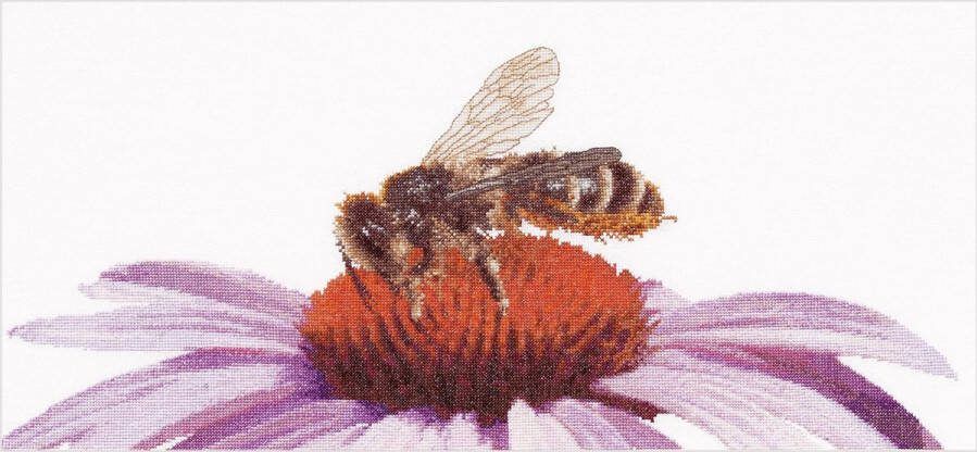 Thea Gouverneur Borduurpakket met telpatroon 549A Voorgesorteerde DMC Garens Bij op Echinacea Aida 21 cm x 45 cm DIY Kit