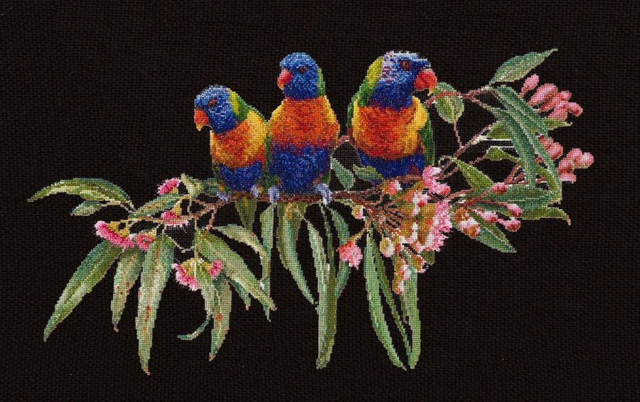 Thea Gouverneur Borduurpakket met telpatroon 553.05 Voorgesorteerde DMC Garens Lorikeets Zwart Aida 52 cm x 36 cm DIY Kit