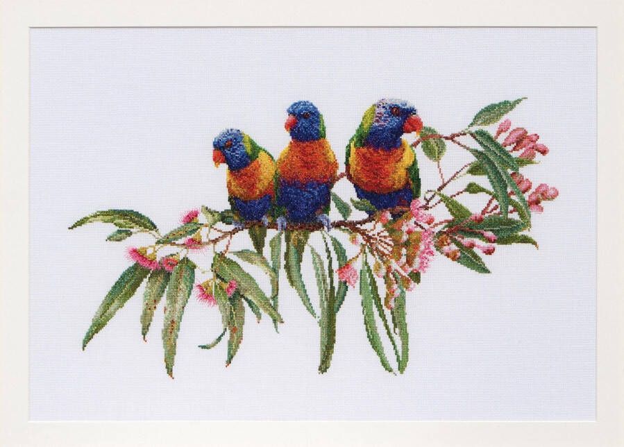 Thea Gouverneur Borduurpakket met telpatroon 553A Voorgesorteerde DMC Garens Lorikeets Aida 52 cm x 36 cm DIY Kit