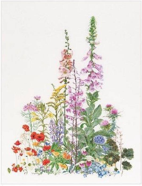 Thea Gouverneur Borduurpakket met telpatroon 554A Voorgesorteerde DMC Garens Amerikaanse Wilde Bloemen Aida 50 cm x 67 cm DIY Kit