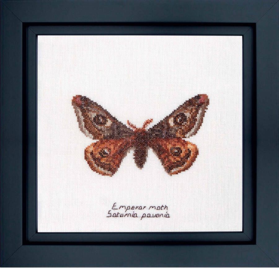 Thea Gouverneur Borduurpakket met telpatroon 562A Voorgesorteerde DMC Garens Keizer Nachtvlinder Aida 21 cm x 21 cm DIY Kit