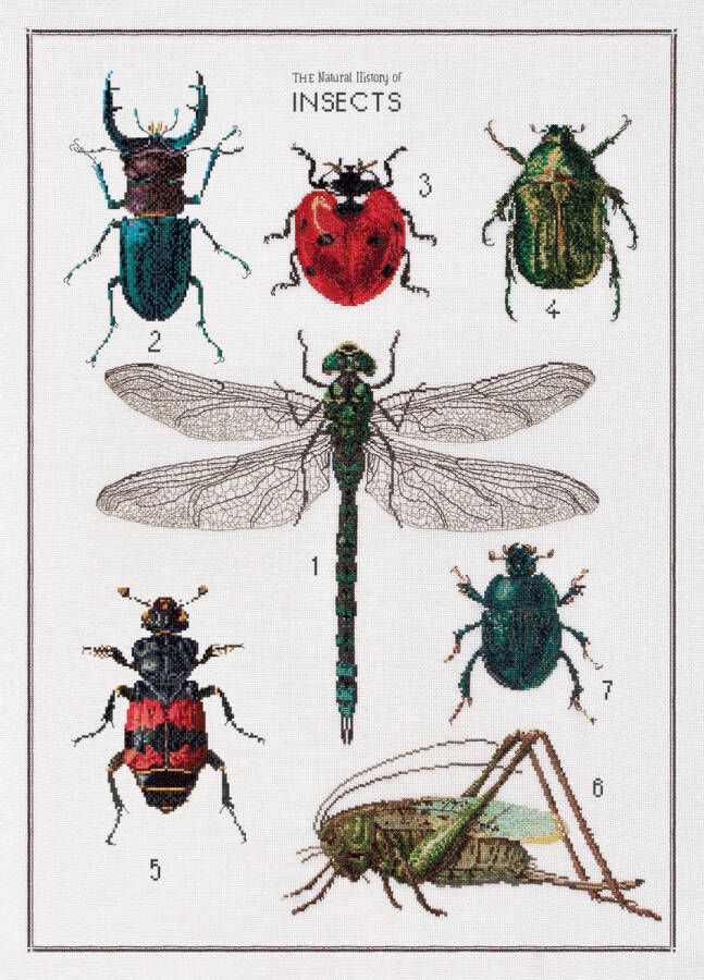 Thea Gouverneur Borduurpakket met telpatroon 566 Voorgesorteerde DMC Garens De Geschiedenis van Insecten Linnen 55 cm x 76 cm DIY Kit