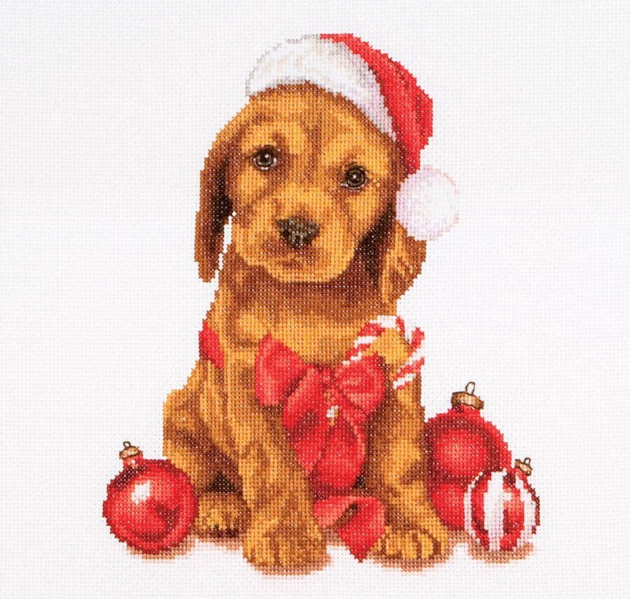 Thea Gouverneur Borduurpakket met telpatroon 730A Voorgesorteerde DMC Garens Kerst Puppy Aida 31 cm x 30 cm DIY Kit