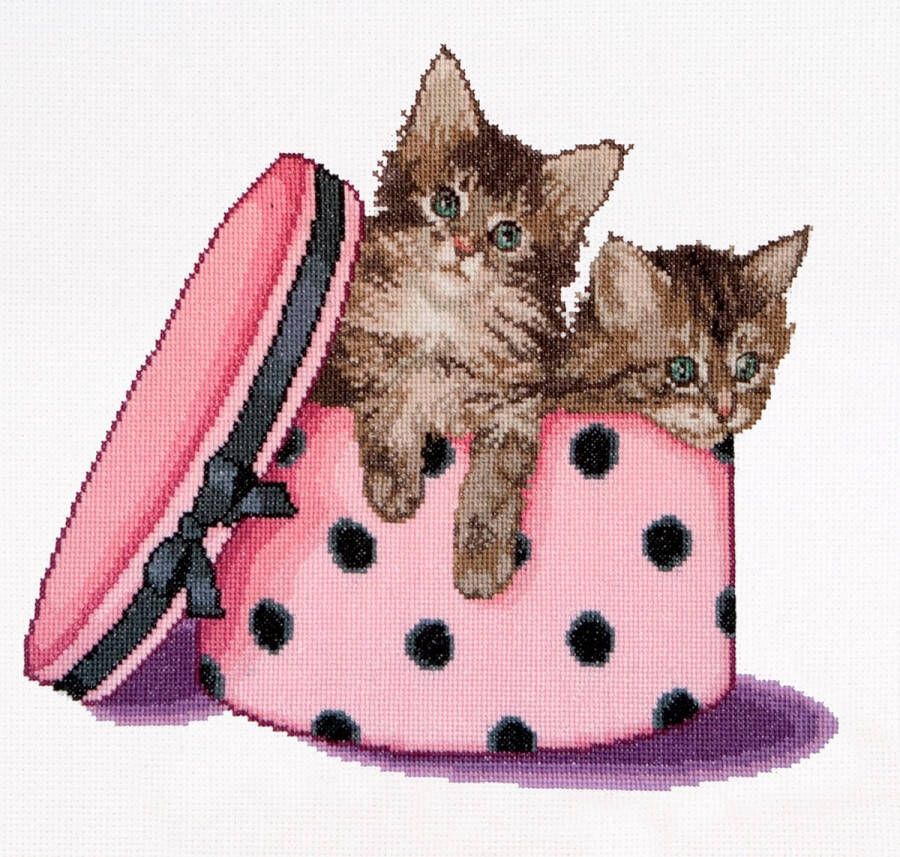 Thea Gouverneur Borduurpakket met telpatroon 734A Voorgesorteerde DMC Garens Kitten Tweeling Aida 31 cm x 30 cm DIY Kit