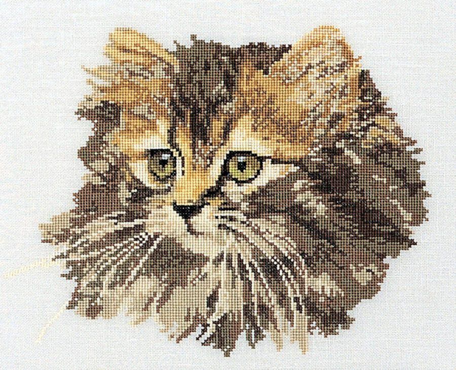 Thea Gouverneur Borduurpakket met telpatroon 930 Voorgesorteerde DMC Garens Langharige Bruine Kat Linnen 30 cm x 40 cm DIY Kit