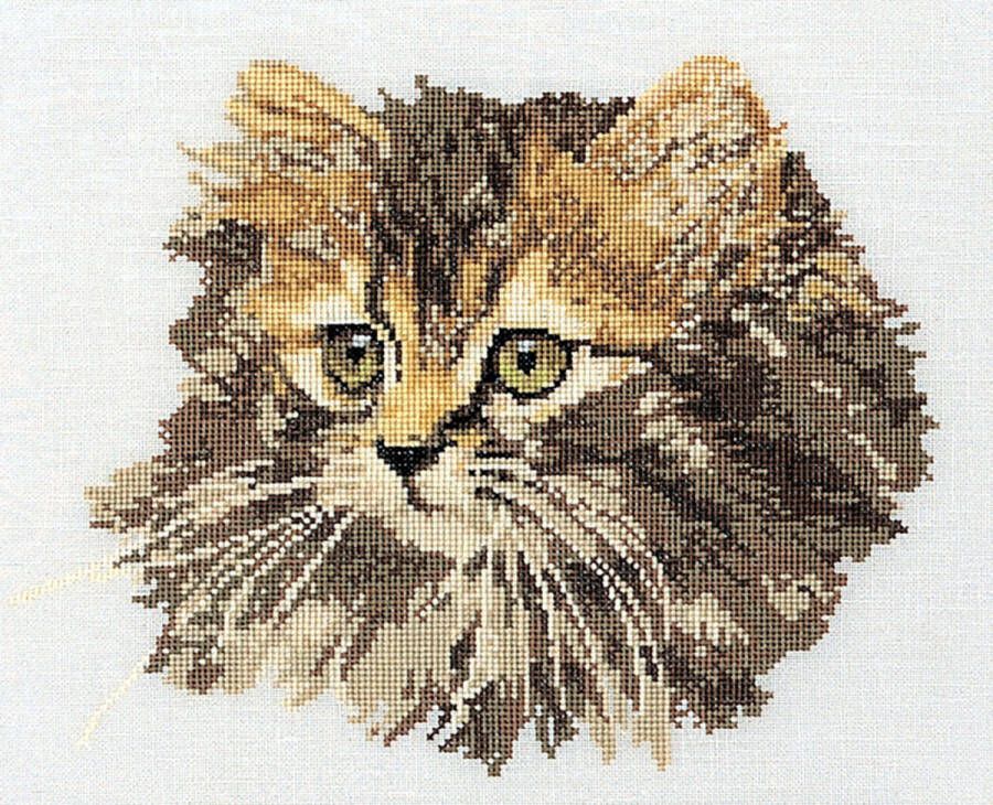 Thea Gouverneur Borduurpakket met telpatroon 930 Voorgesorteerde DMC Garens Langharige Bruine Kat Linnen 30 cm x 40 cm DIY Kit