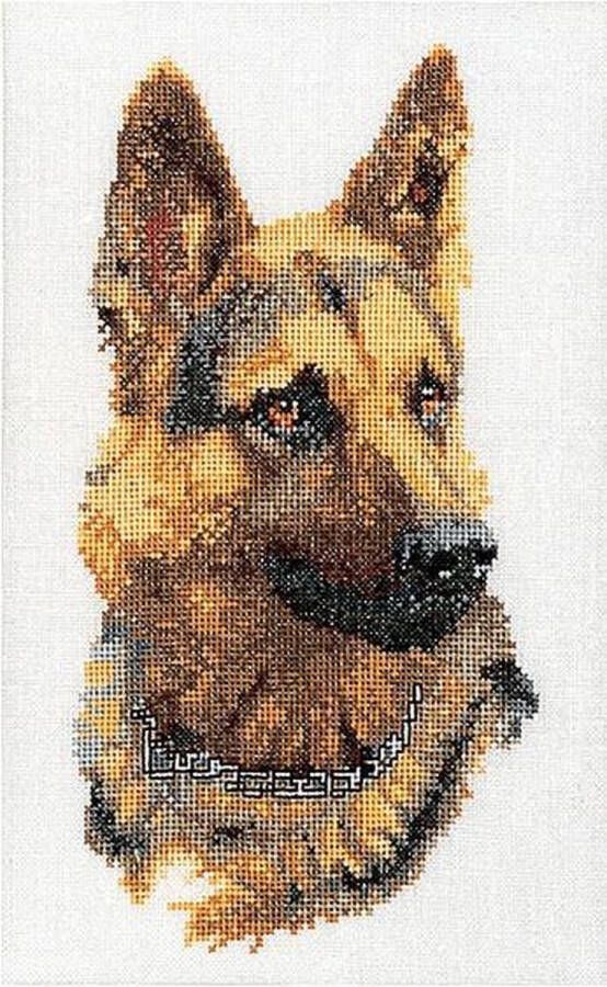 Thea Gouverneur Borduurpakket met telpatroon 934A Voorgesorteerde DMC Garens Herdershond Aida 24 cm x 33 cm DIY Kit