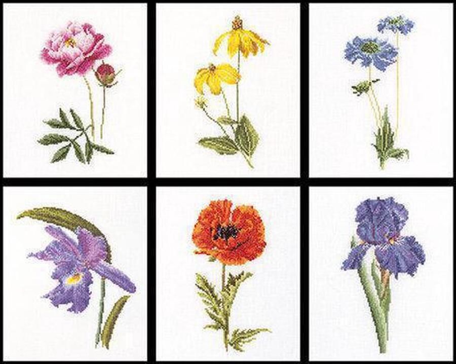 Thea Gouverneur Borduurpakket met telpatroon 3085A Voorgesorteerde DMC Garens 6 Bloemportretten Aida 6 cm x 17 cm DIY Kit