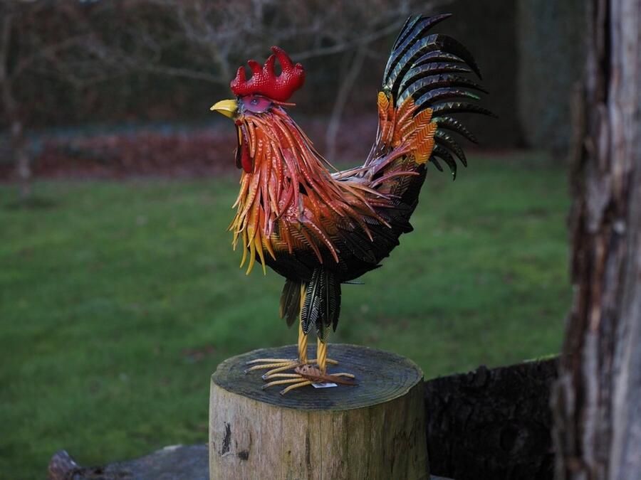 Thermobrass metalen tuinbeeld Haan metaal 82 cm hoog