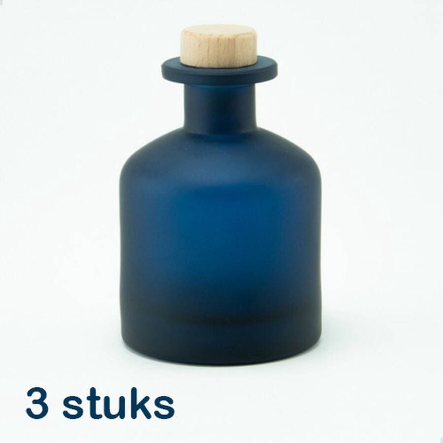 TheRoot 3 frosted glazen flessen van 250 ml kleur marineblauw vaasje huisparfum geschenk decoratie