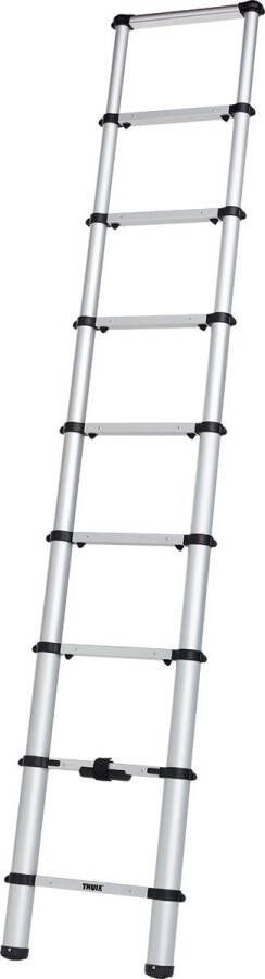 Thule Ladder voor bestelwagen incl. bevestigingsset Transportboxen & ladders van
