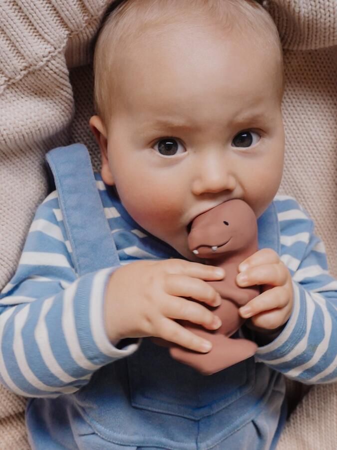 Tikiri Badspeeltje Mijn Eerst Dinosaurus T-Rex