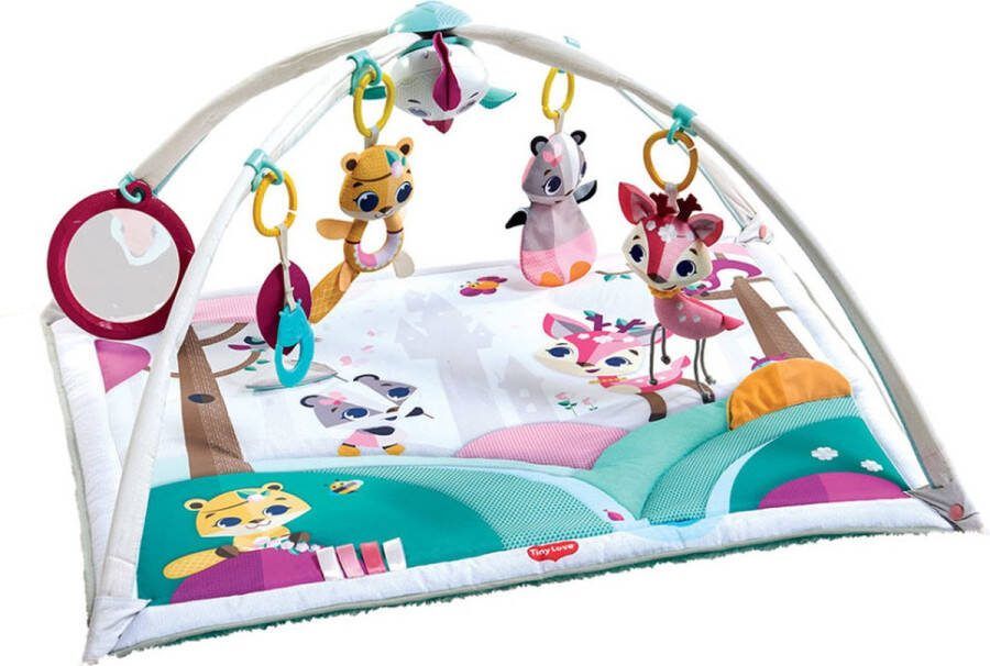 Tiny Love Babygym Gymini Deluxe Princess Tales Vanaf de geboorte tot 1 jaar oud