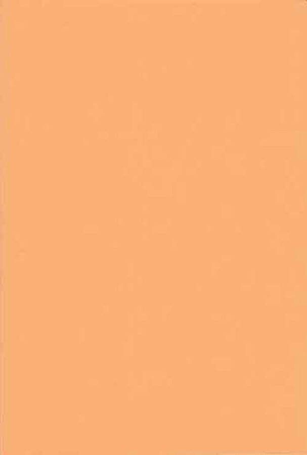 Top-Hobby Luxe A4 Hobby Karton A4 21 x 29 7 cm – 50 Vellen – Meloen – 240 grams voor het maken van o.a. kaarten scrapbooking en heel veel andere creatieve doeleinden