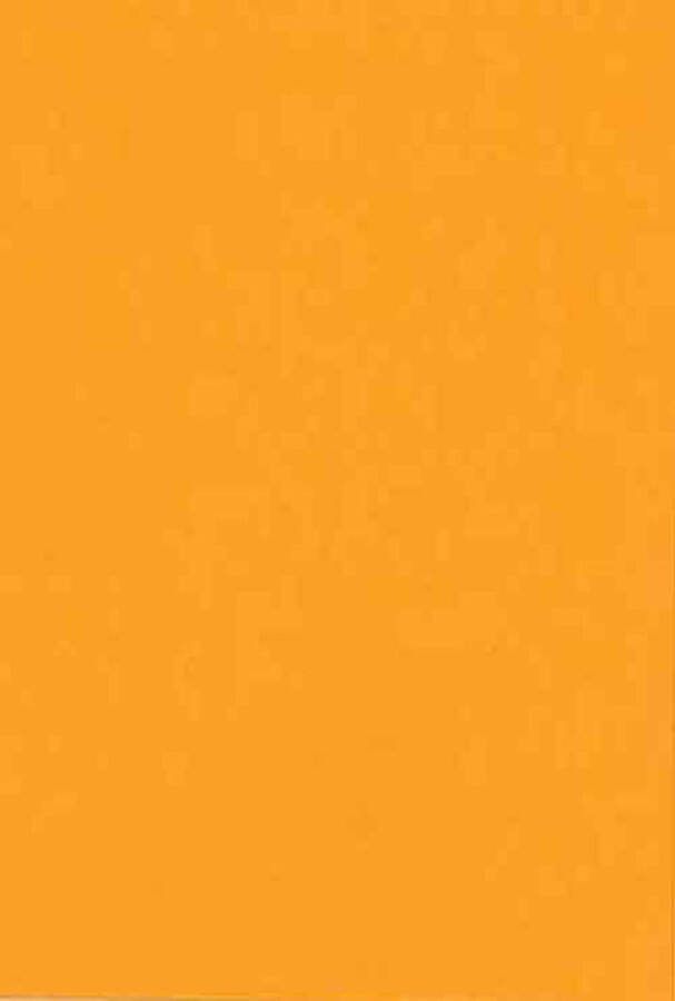 Top-Hobby Luxe Hobby Karton – A5 14 8 x 21 cm– 100 Vellen – Mandarijn – 240 grams voor het maken van o.a. kaarten scrapbooking en heel veel andere creatieve doeleinden