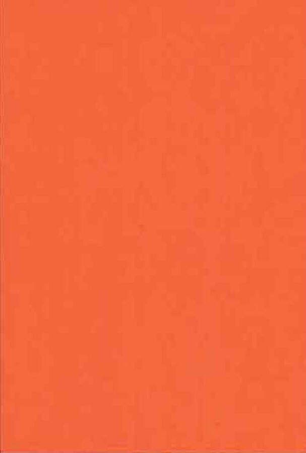 Top-Hobby Luxe Hobby Karton – A5 14 8 x 21 cm– 100 Vellen – Oranje – 240 grams voor het maken van o.a. kaarten scrapbooking en heel veel andere creatieve doeleinden