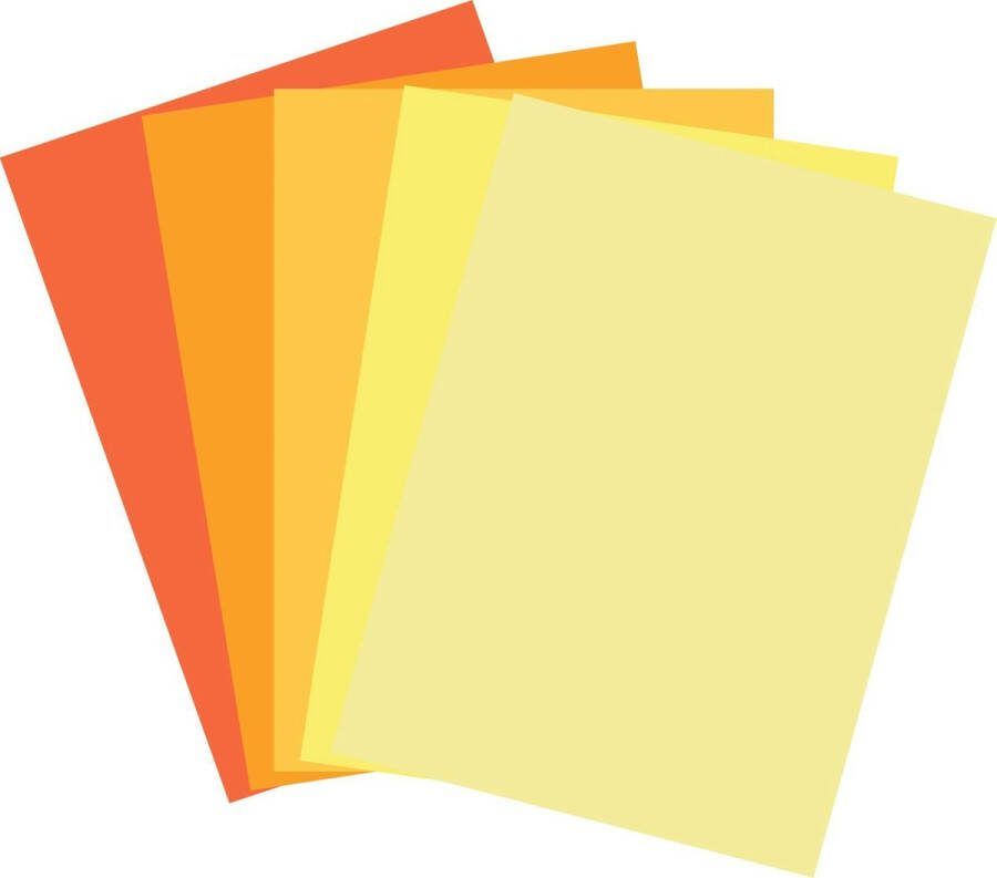 Top-Hobby Luxe Hobby Karton – A5 14 8 x 21 cm– 150 Vellen – 5 Kleuren – 240 grams voor het maken van o.a. kaarten scrapbooking en heel veel andere creatieve doeleinden