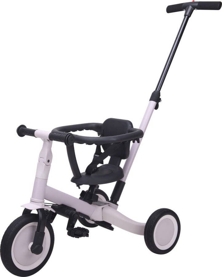 Topmark Lio 4 in 1 Driewieler Met Duwstang Lilac