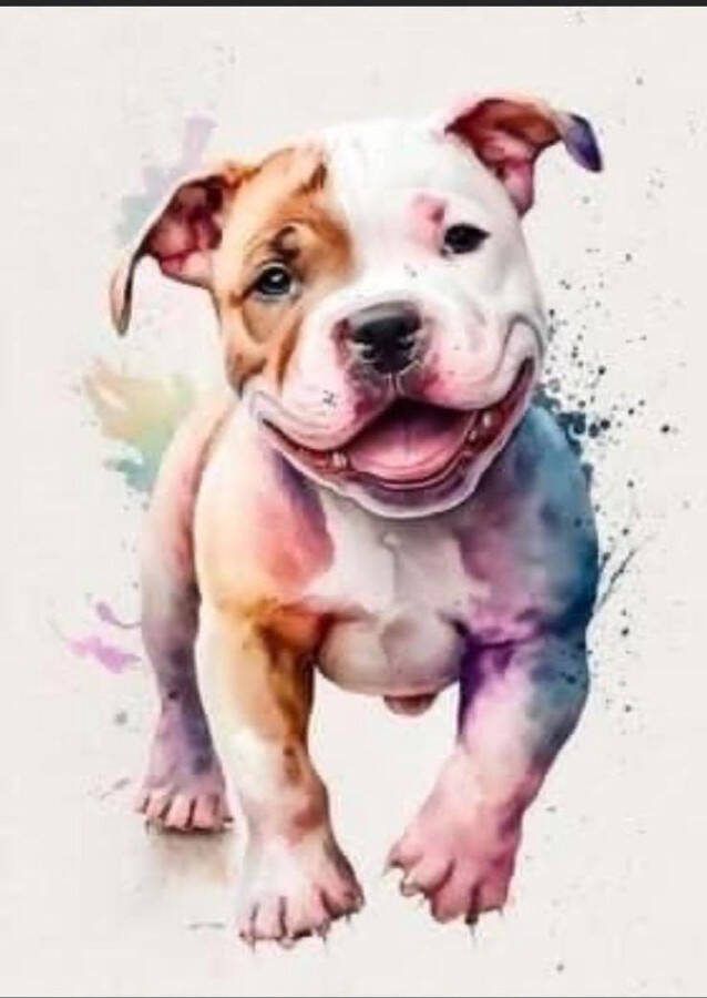 Topmo Bulldog 40 x 50 CM Diamond painting pakket HQ Diamond Painting volledig dekkend Diamant Schilderen voor Volwassenen – ROND