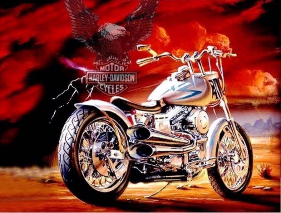 Topmo Harley Davidson Eagle Motor Diamond painting pakket HQ Diamond Painting volledig dekkend Diamant Schilderen – voor Volwassenen – ROND 50X65 CM