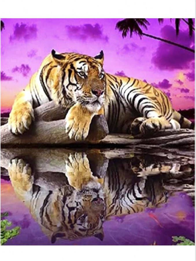 Topmo Tijger Paarse Eiland 40 x 50 CM Diamond painting pakket HQ Diamond Painting volledig dekkend Diamant Schilderen voor Volwassenen – ROND