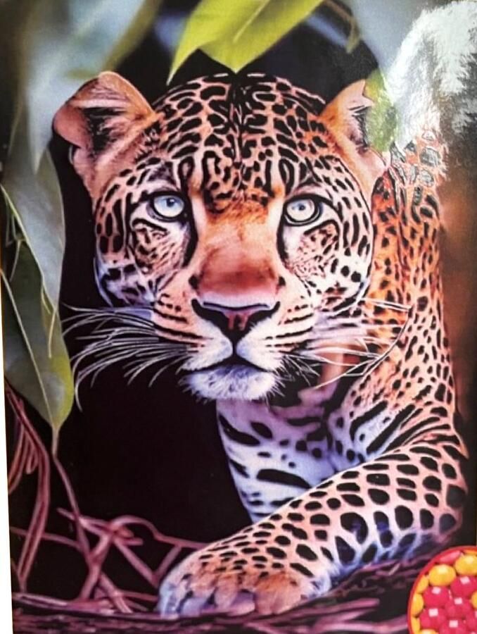 Topmo Luipaard portret 40X50CM- Diamond painting pakket HQ Diamond Painting VOLLEDIG dekkend Diamant Schilderen voor Volwassenen – ROND