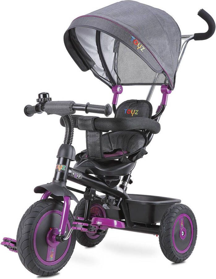 Toyz Driewieler Buzz Paars