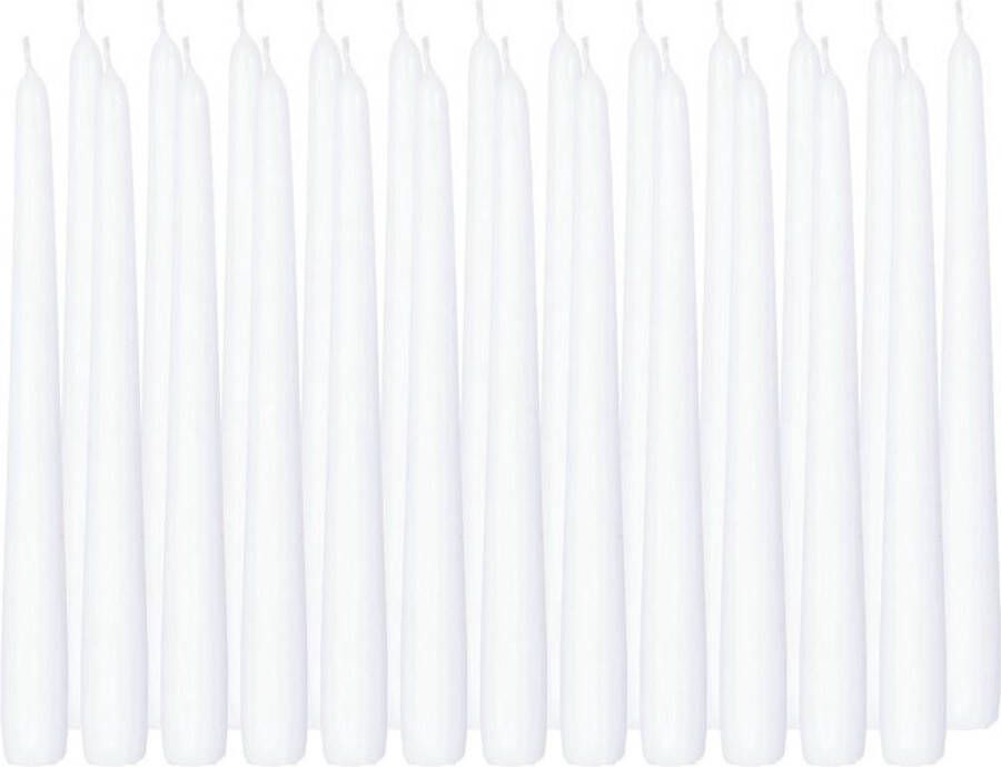 Trend Candles 24x Witte dinerkaarsen 25 cm 8 branduren Geurloze kaarsen Tafelkaarsen kandelaarkaarsen