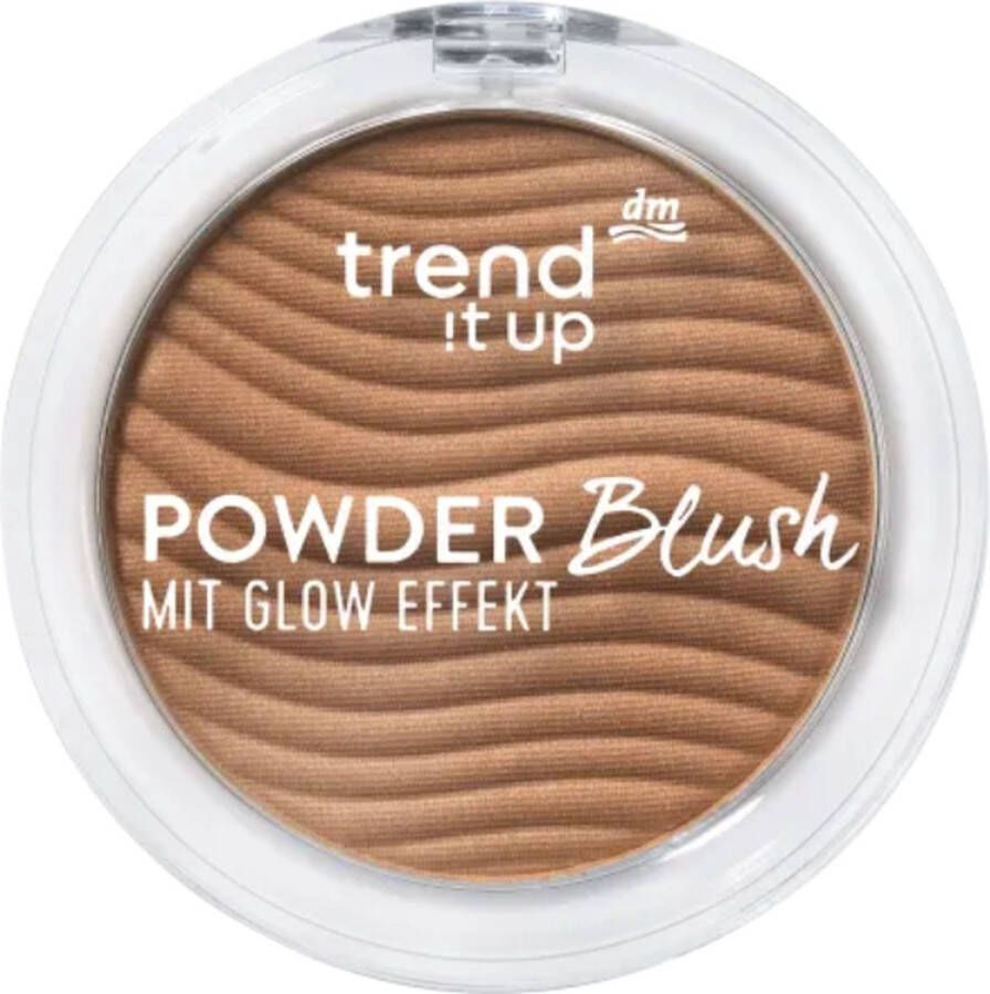 Trend IT UP Blush Poeder 060 5 gr Powder Blush