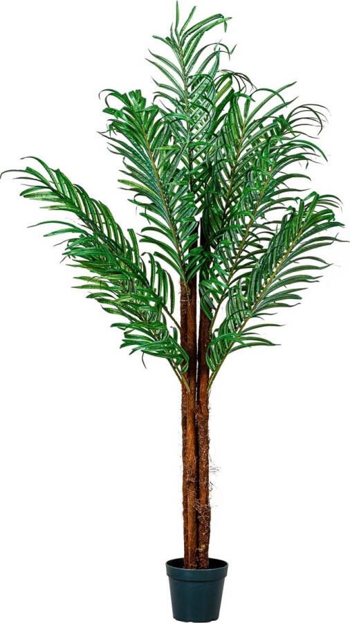Trend24 Kunstplanten voor binnen Kamerplanten Kunstplant Nep planten Kunstboom Kokospalm Inclusief plantenpot Inclusief decoratie mos Palmhout Textielvezel Bruin Groen 160 cm