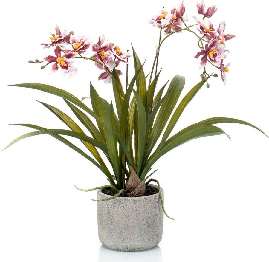 Merkloos Sans marque Bordeaux rode orchidee kunstplant in keramische pot 45 cm Orchidaceae Woondecoratie accessoires Kunstplanten Nepplanten Orchidee planten in pot