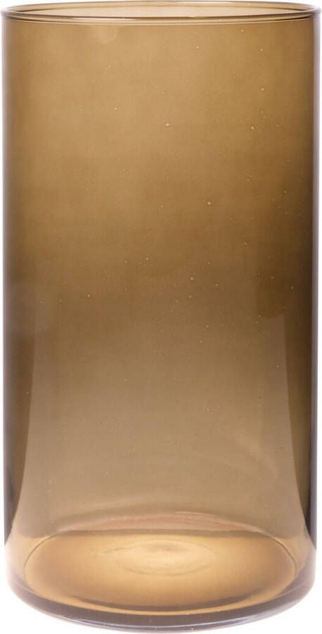 Trendoz Bloemenvaas Neville lichtbruin transparant glas D16 x H30 cm Cilinder vorm