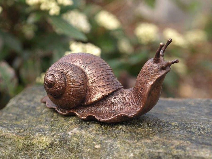 Bronzartes Beeld slak Tuinbeeld brons 6 cm hoog