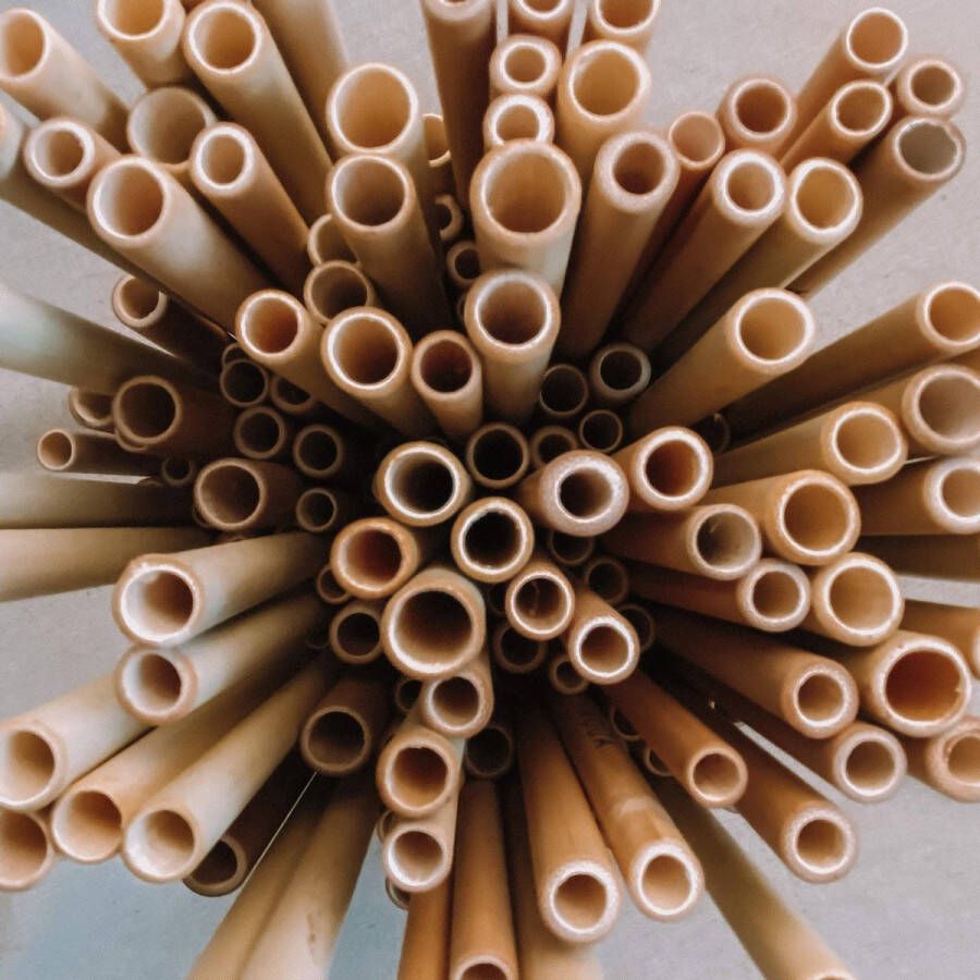 TREVADUA Herbruikbare Bamboe Rietjes Lengte 20cm 15 Stuks Incl Schoonmaak Borstel & Tasje| Plastic Vrij