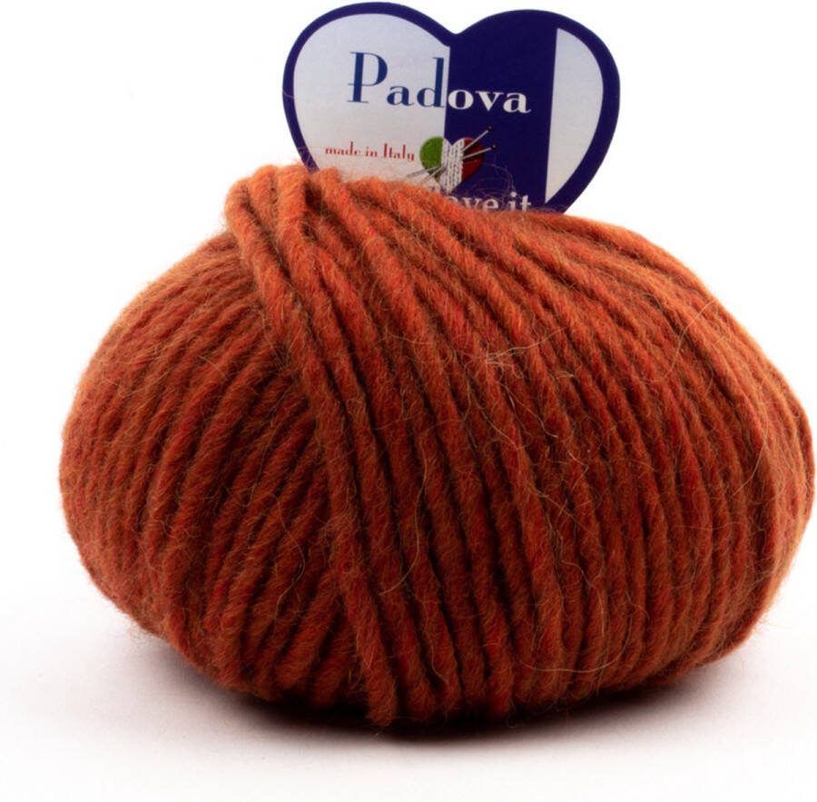 Tricot Cafè Tricot Café Padova Wol-alpacamix garen geschikt voor alle soorten werk Ideaal voor haakwerk Gemaakt in Italië Mix elegantie en kwaliteit 50g Burnt 550