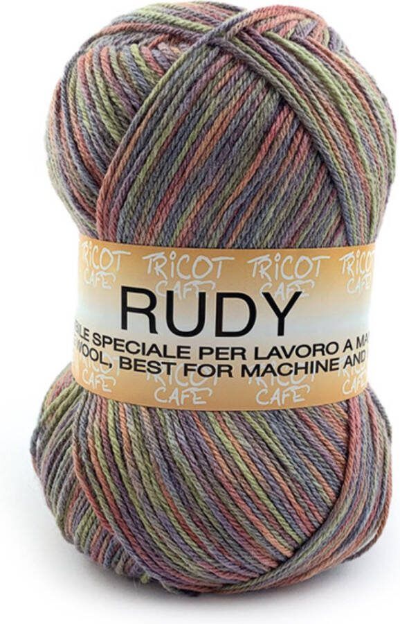 Tricot Cafè Tricot Café Rudy Warm en zacht garen gemaakt van een wol-acrylmix ideaal voor alle soorten breiwerk crochetwerk Naaldmaat: 3.50 4.00 250gr Veelkleurig 119