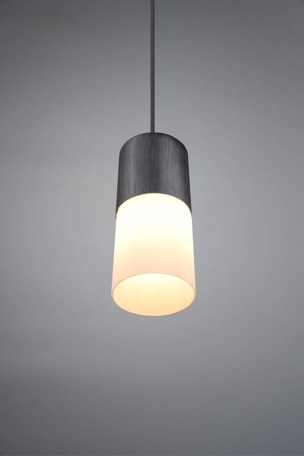 Trio Industriële Hanglamp Robin Metaal Zwart