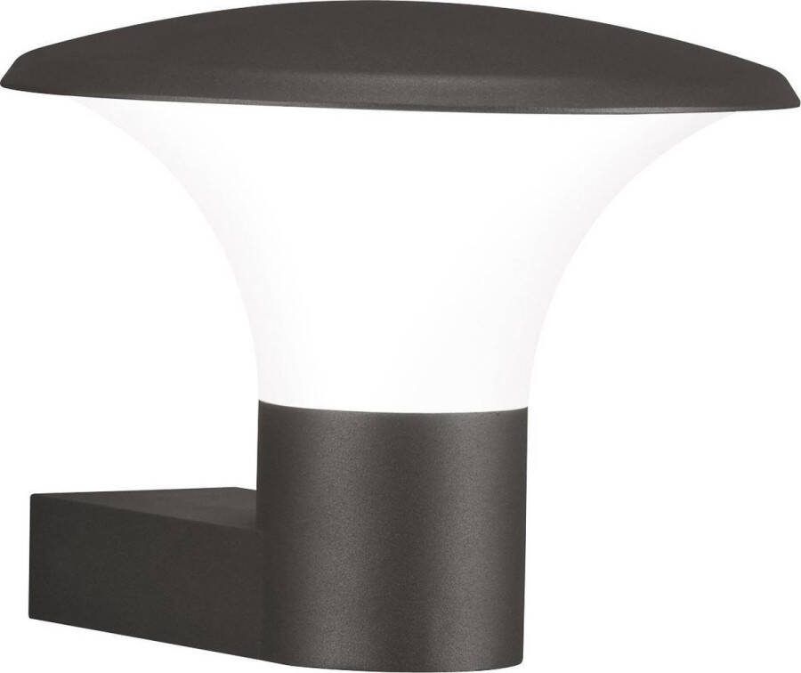 TRIO KONGO Wandlamp Antraciet incl. 1x E27 4 9W Buitenverlichting IP44