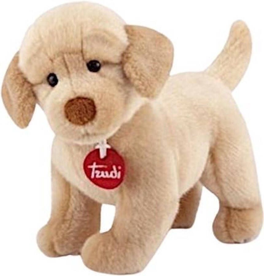 Trudi Classic Hond Labrador Liam (S-22872) Pluche knuffel Ca. 19 cm (Maat S) Geschikt voor jongens en meisjes Beige