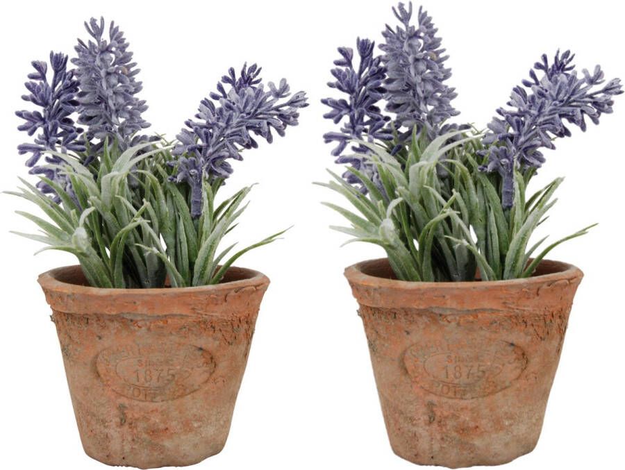 True to Nature 2x stuks kunstplanten lavendel in terracotta pot 15 cm Kunstplanten nepplanten
