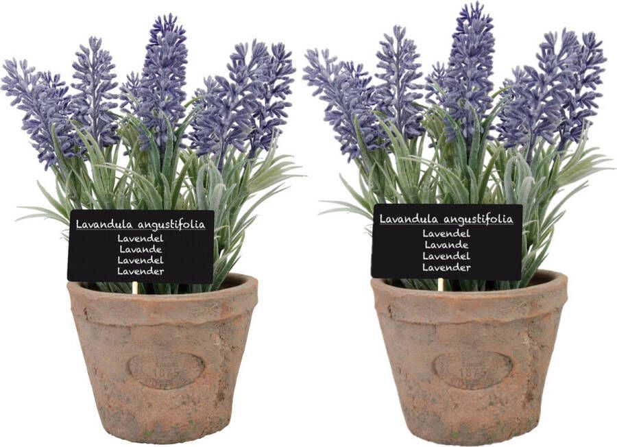 True to Nature 2x stuks kunstplanten lavendel in terracotta pot 23 cm Kunstplanten nepplanten