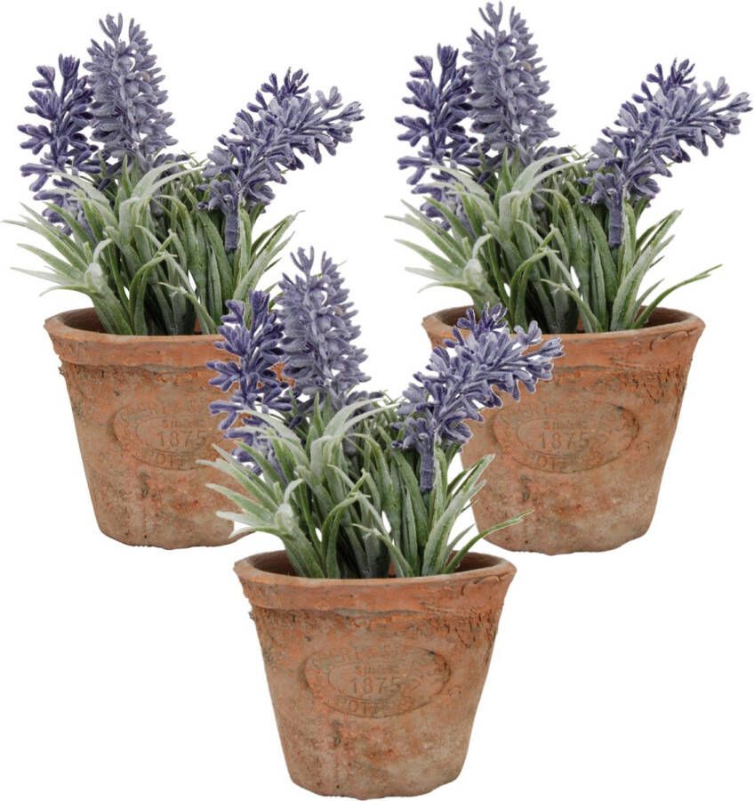 True to Nature 3x stuks kunstplanten lavendel in terracotta pot 15 cm Kunstplanten nepplanten