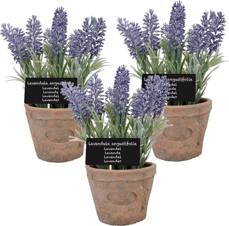 True to Nature 3x stuks kunstplanten lavendel in terracotta pot 23 cm Kunstplanten nepplanten
