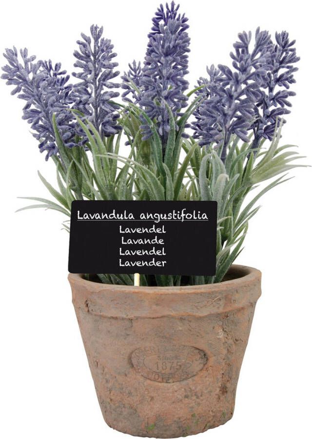 True to Nature Kunstplant lavendel in terracotta pot 23 cm Kunstplanten