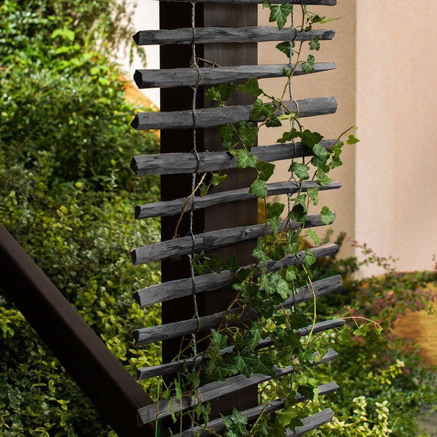 Tuinmaak.nl Plantenladder zwart 50 cm x 200 cm