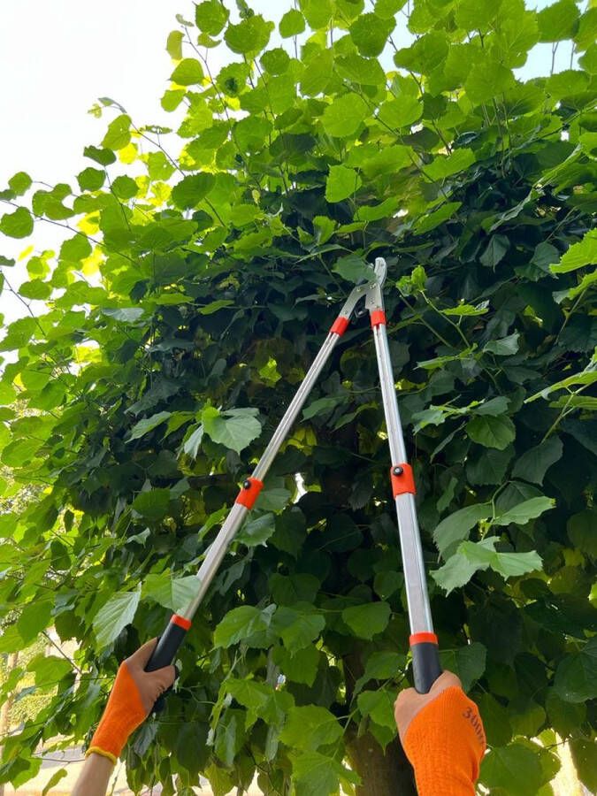 Tuinmiddelen Telescopische Takkenschaar Uitschuitbare Armen tot 106 CM Snoeischaarzaag Takken Knipper