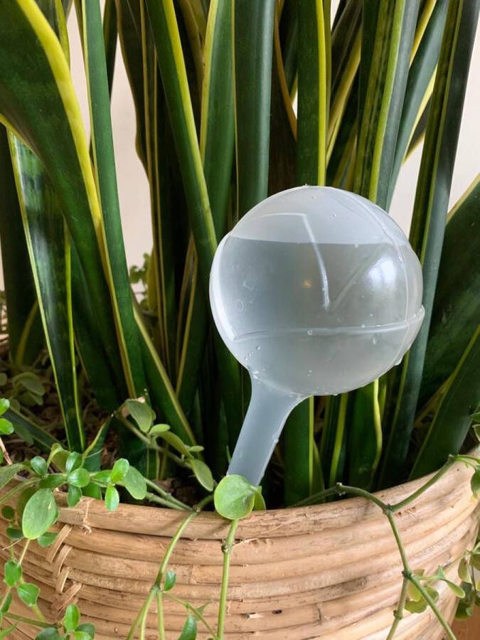 Tuinmiddelen Waterbol Bewatering Waterdruppelaar Voor Platen Watergeefsysteem Automatische Druppelsysteem Voor kamerplanten en Tuin