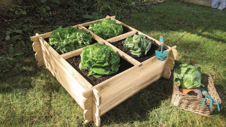 Tuintoppers Moestuinbak met Worteldoek Douglas 100 x 100 cm